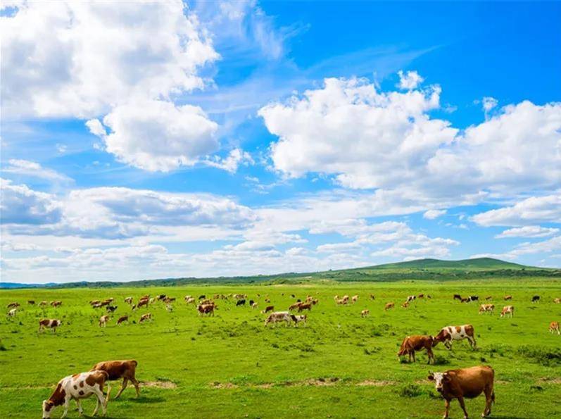 内蒙古,草原上的新闻脉搏