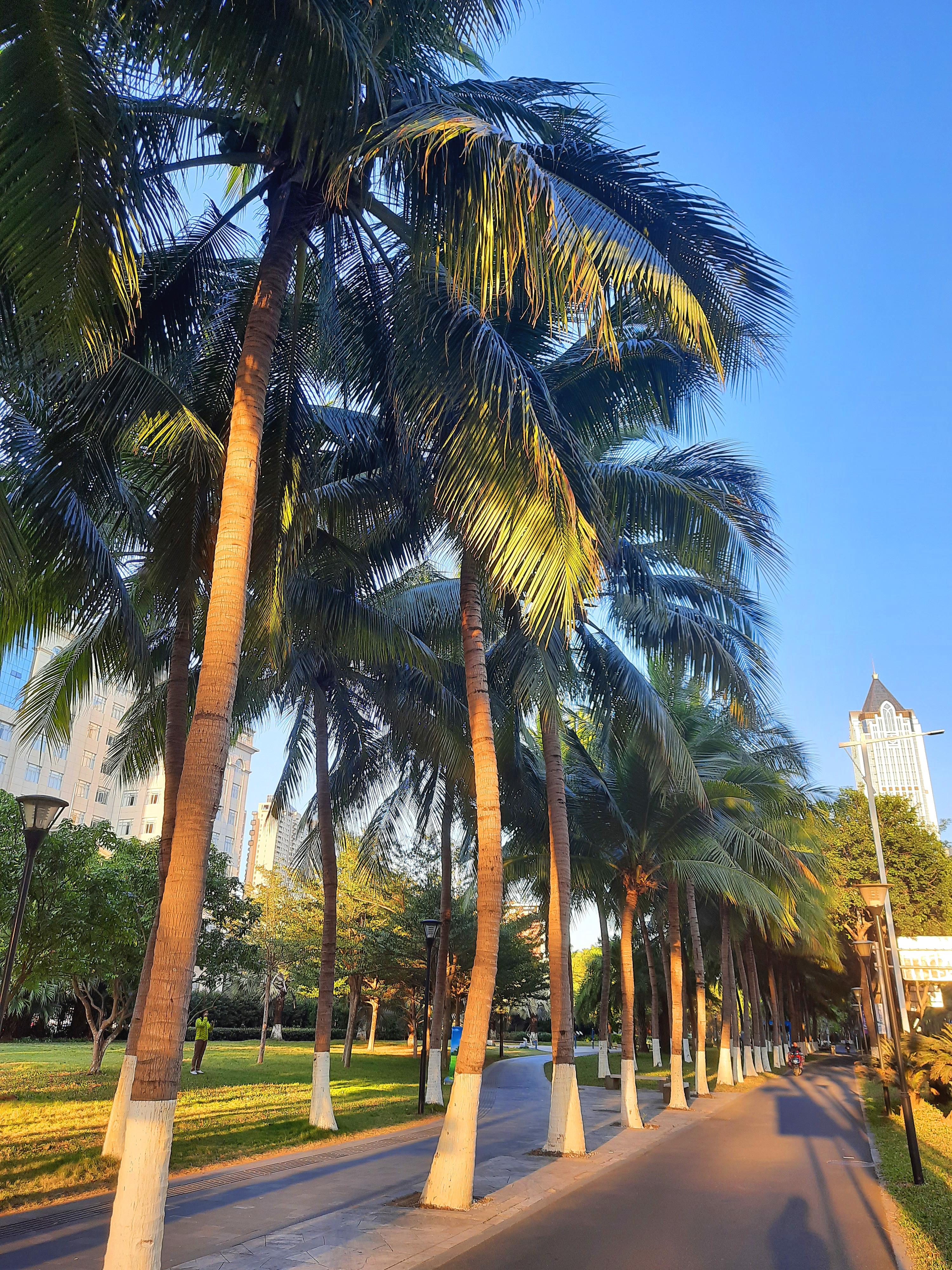 海南,热带风情与独特魅力的评论