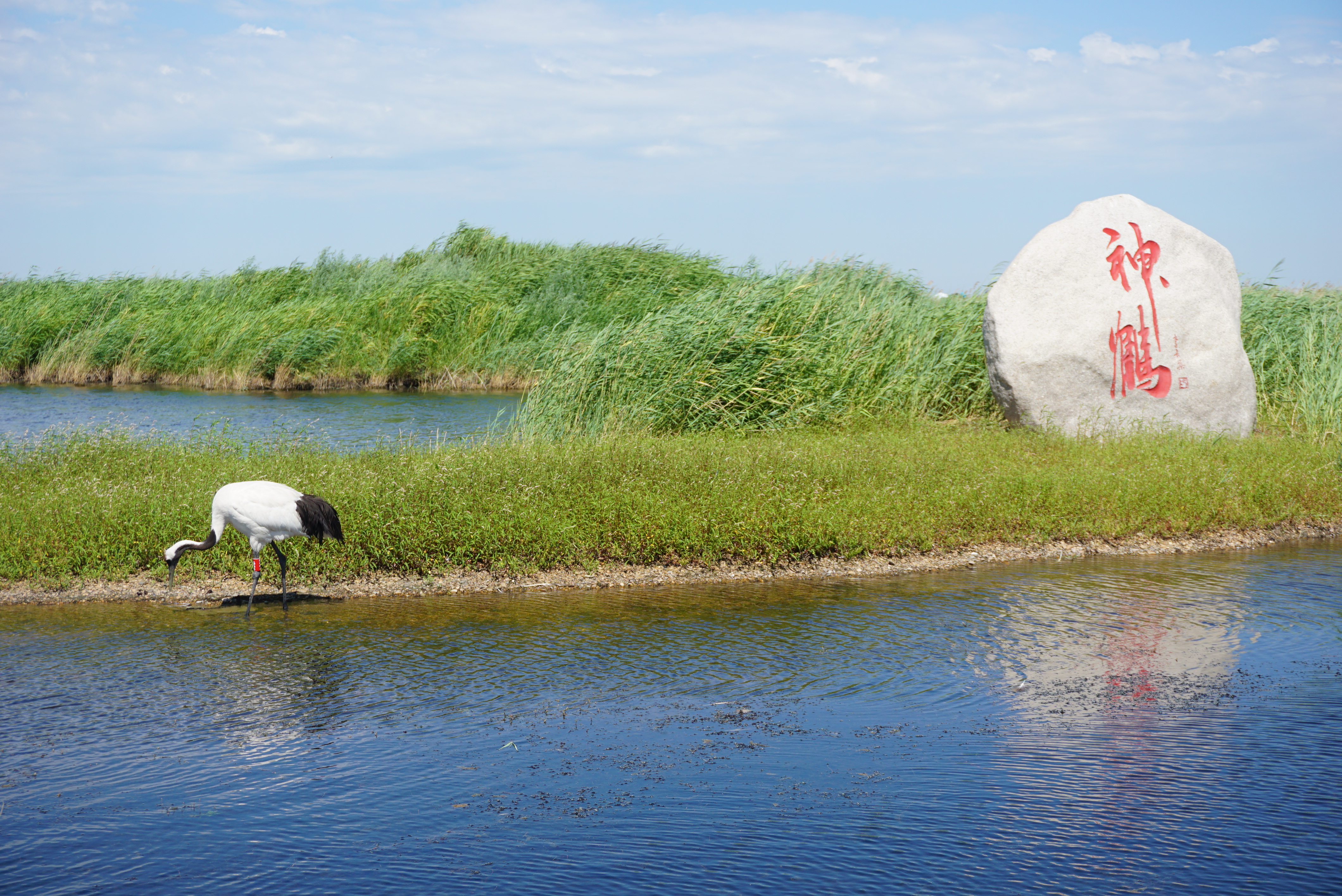 寻古韵运城，怀古之旅