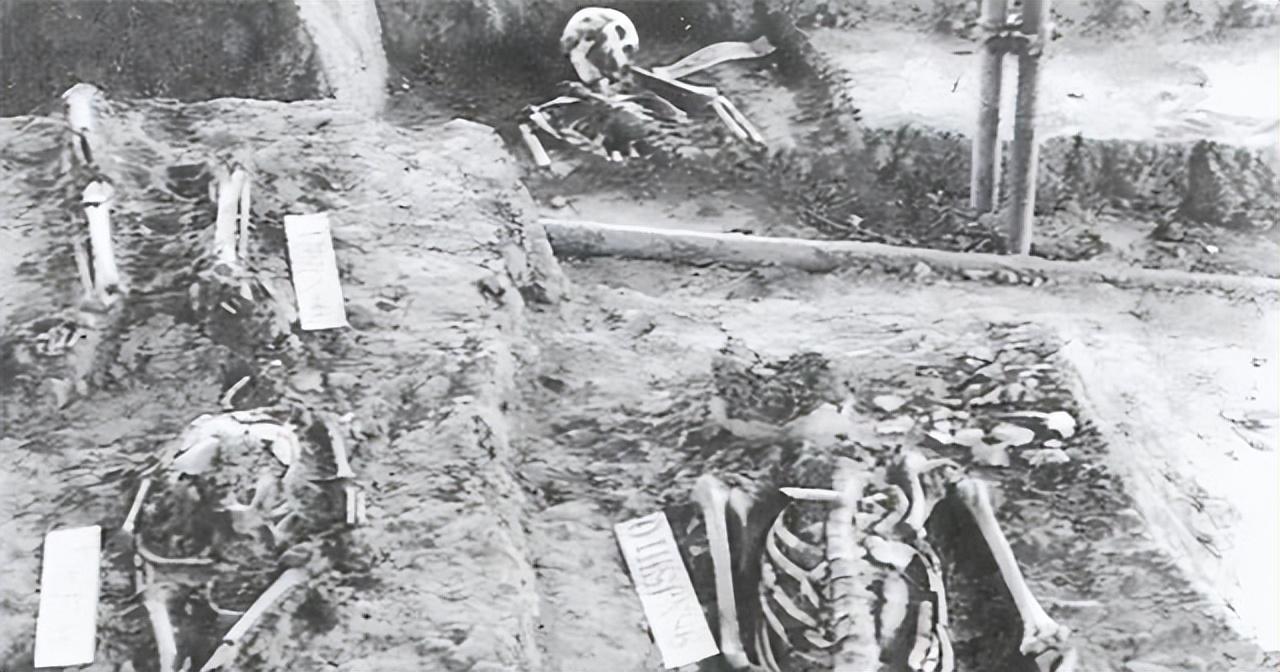 抚顺之光,高科技产品的崭新篇章启航