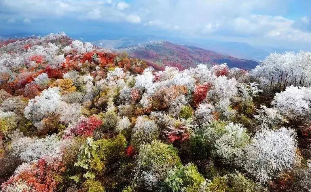 白山科技，引领未来的高科技产品重塑生活体验